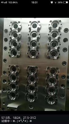 Aluminum Steel Plastic Bottle Blow Plastic Mold Development Injection Mold Blowing Machine