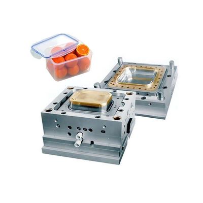 Oem Polishing Precision Plastic Injection Mold 0.01mm Tolerance Industrial Design